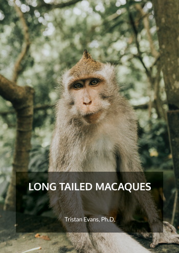"Long Tailed Macaques: An Intimate Glimpse into Their Lives" by Tristan Evans is a captivating exploration into the lives of these versatile primates. Drawing on detailed field research and personal encounters, this book sheds light on the physical traits, social dynamics, survival strategies, and humorous antics of these creatures. Through vivid storytelling and stunning photography, the author invites readers into the heart of macaque society, sparking a deep respect for these animals and emphasizing the importance of habitat conservation and respectful human-wildlife coexistence.